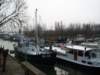 zuidhaven20090301002_small.jpg